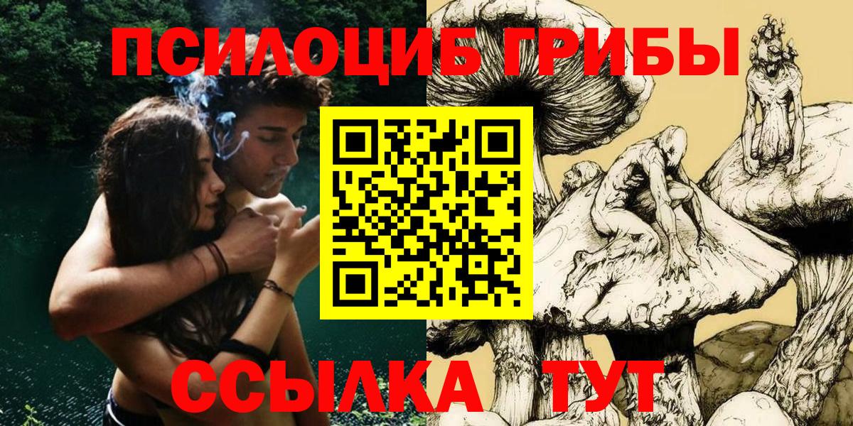 Галлюциногенные грибы Cubensis  Вход с VPN  Сокол 