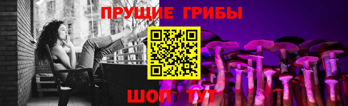 Псилоцибиновые грибы Psilocybe Сокол